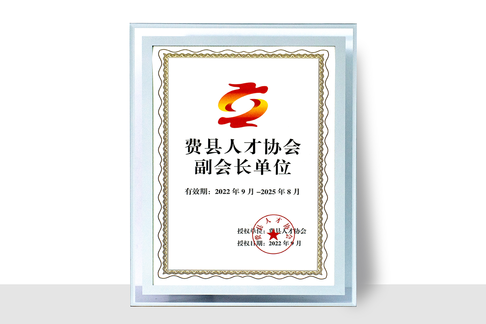 费县人才协会副会长单位